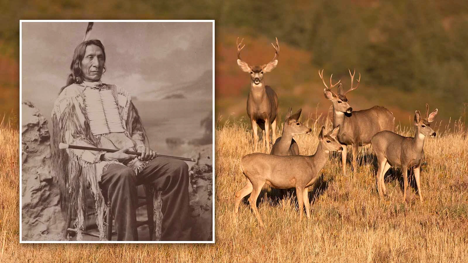In 1894, Chief Red Cloud and a band of 50 Indians came through Natrona County on the way to the Wind River Indian Reservation and killed some wild game for food. He was arrested and spent time in a Casper jail while his wife mourned outside.