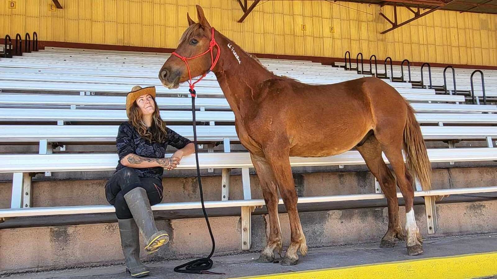 Horse trainer Sienna Hawk has worked with Red Solo Cup — a mustang from Wyoming’s White Mountain wild horse herd — to prepare him for adoption.