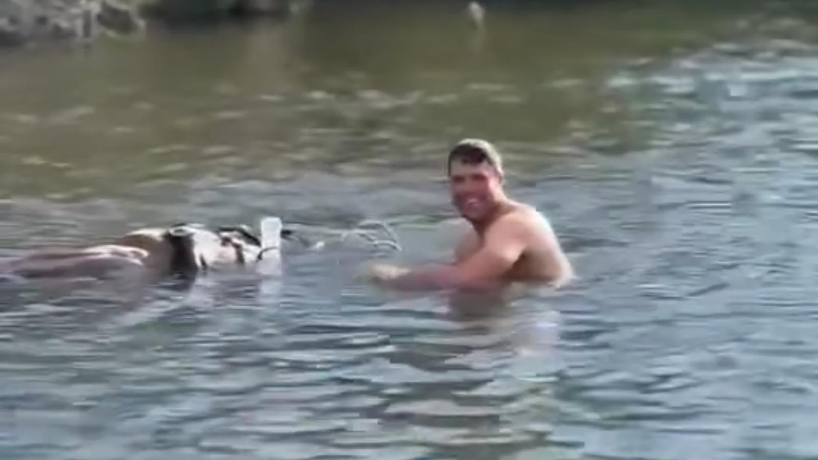 A screenshot from video posted by Terra Ward of a rodeo horse named Red after it had drowned in a pond in Montana. In this image, a man smiles as he and other men on shore joke and laugh about the situation.