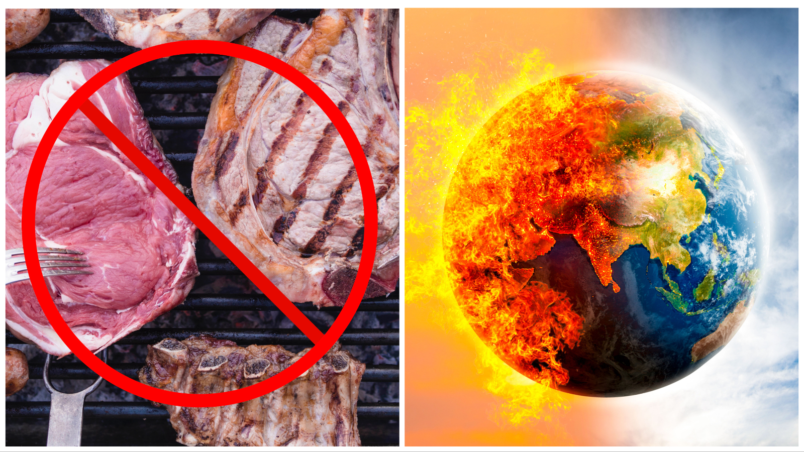 Red meat and global warming 3 10 23