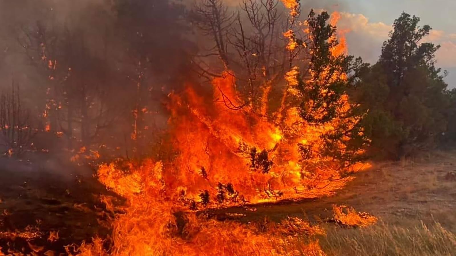 The Remington Fire is burning in northern Sheridan County near the Montana border.