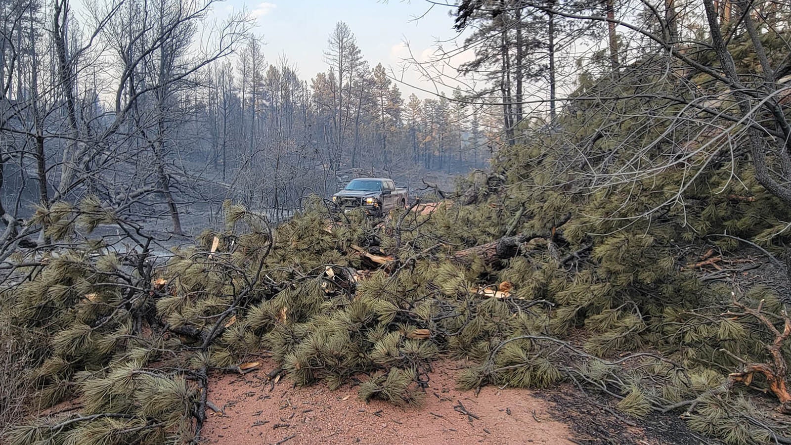 Some of the aftermath of where the Remington Fire has bruned through southern Montana.