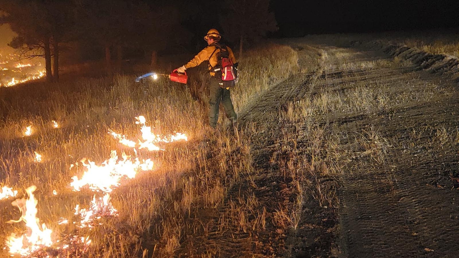 Firefighters burn fire lines while battling the Remington Fire in northern Wyoming and southern Montana.