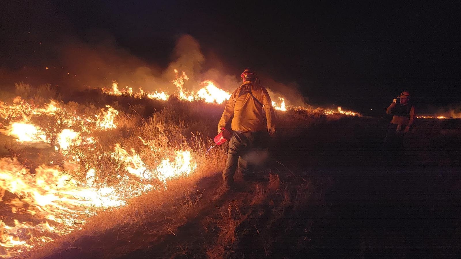 Firefighters burn fire lines while battling the Remington Fire in northern Wyoming and southern Montana.