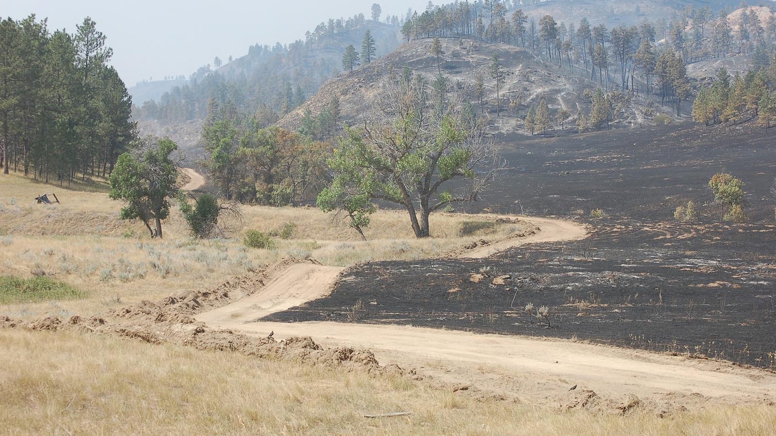 Crews worked to save the historic Poker Jim Fire Lookout tower in Custer National Forest, Montana, from the Remington Fire. "Flames burned under and past the station but rendered no notable damage to the structure," the BLM reports.