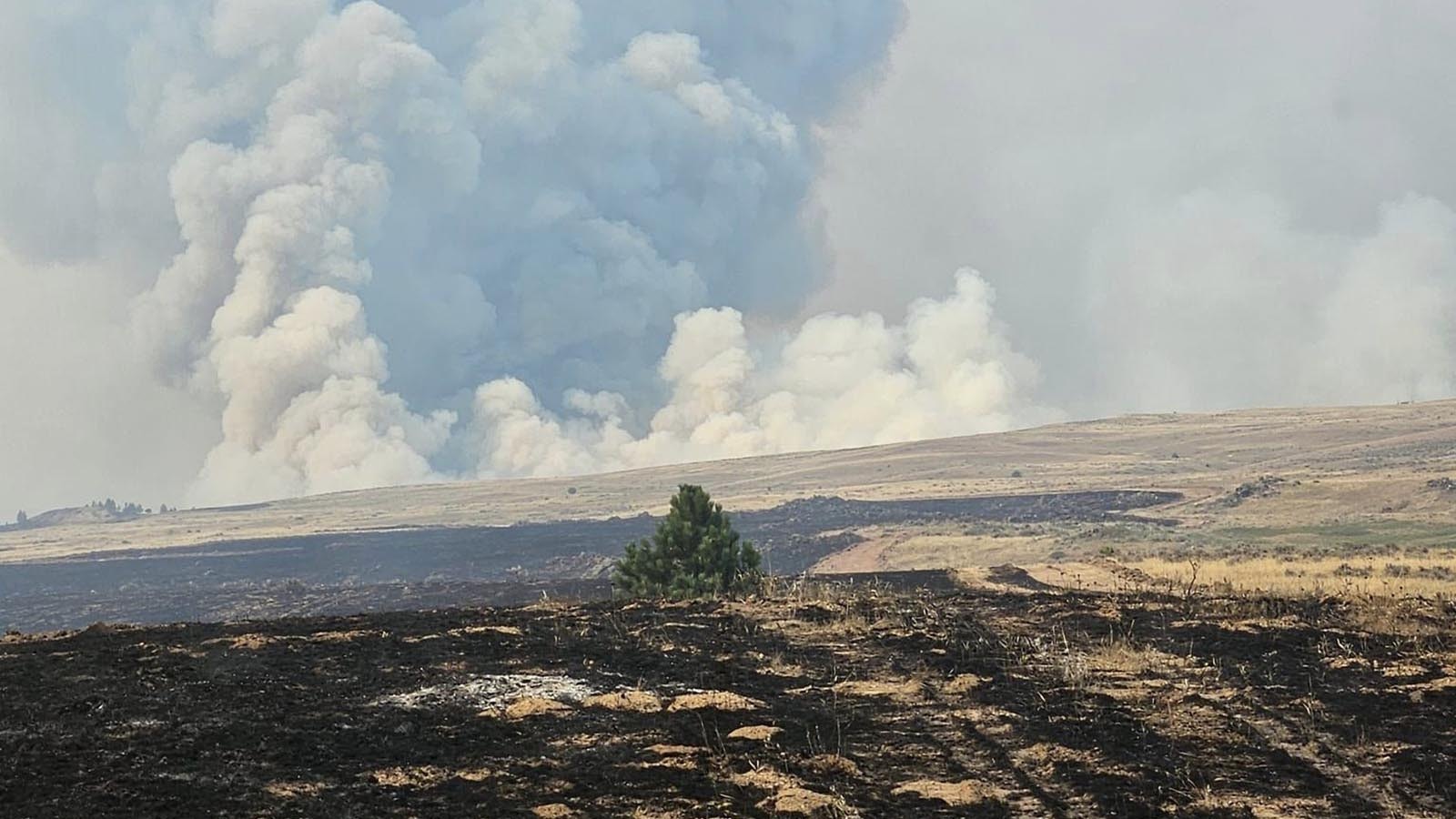 Huge swaths of burned grassland left by the Remington Fire.