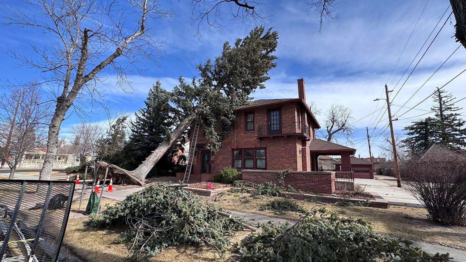 A crew with The Tree Feller in Cheyenne works to remove this large tree that was blown onto a house during a record-setting windstorm on Thursday, March 12, 2026.