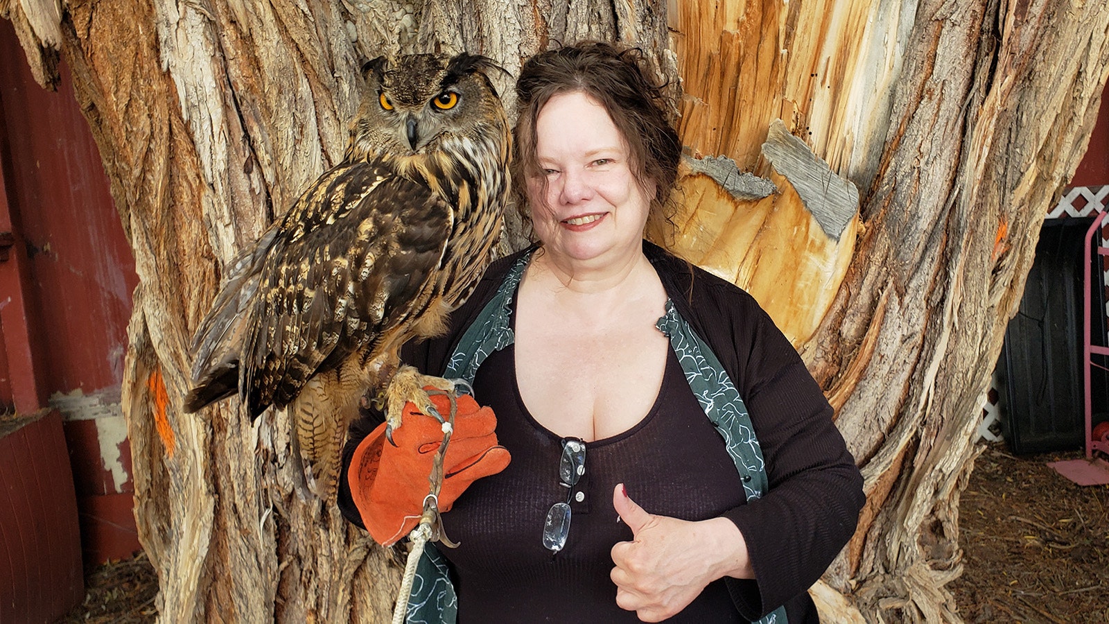 Hangin' out with Hoot, the most famous owl on the planet, at the Fort Bridger Rendezvous.