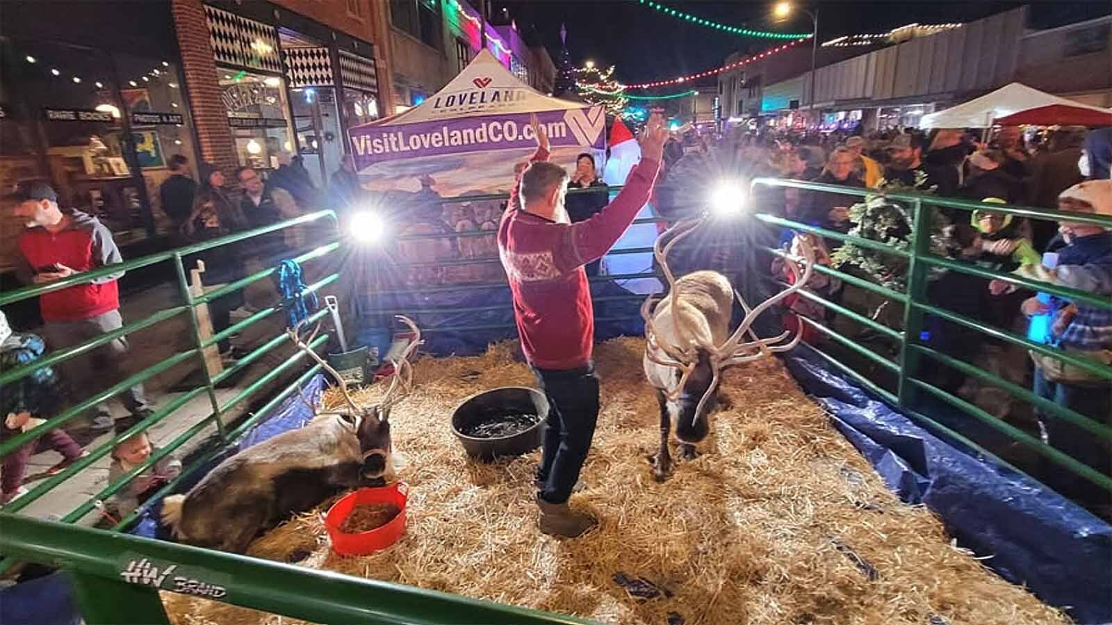 The Jessen Reindeer Ranch rents rendeer for events in northern Colorado and southern Wyoming. Raising and caring for reindeer is expensive, but can easily bring in more than $100,000 in the month between Thanksgiving and Christmas.