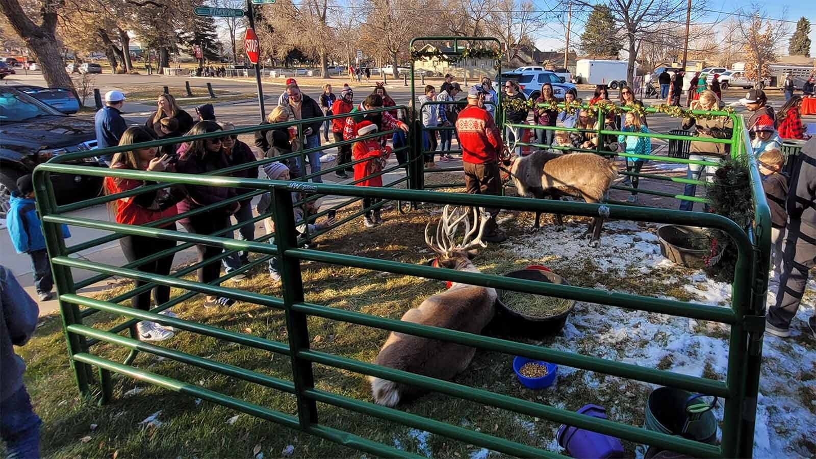 The Jessen Reindeer Ranch rents rendeer for events in northern Colorado and southern Wyoming. Raising and caring for reindeer is expensive, but can easily bring in more than $100,000 in the month between Thanksgiving and Christmas.
