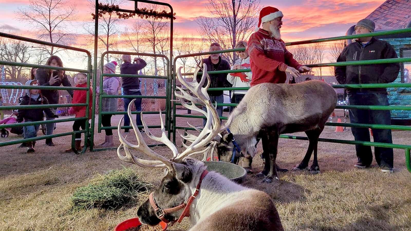 The Jessen Reindeer Ranch rents rendeer for events in northern Colorado and southern Wyoming. Raising and caring for reindeer is expensive, but can easily bring in more than $100,000 in the month between Thanksgiving and Christmas.