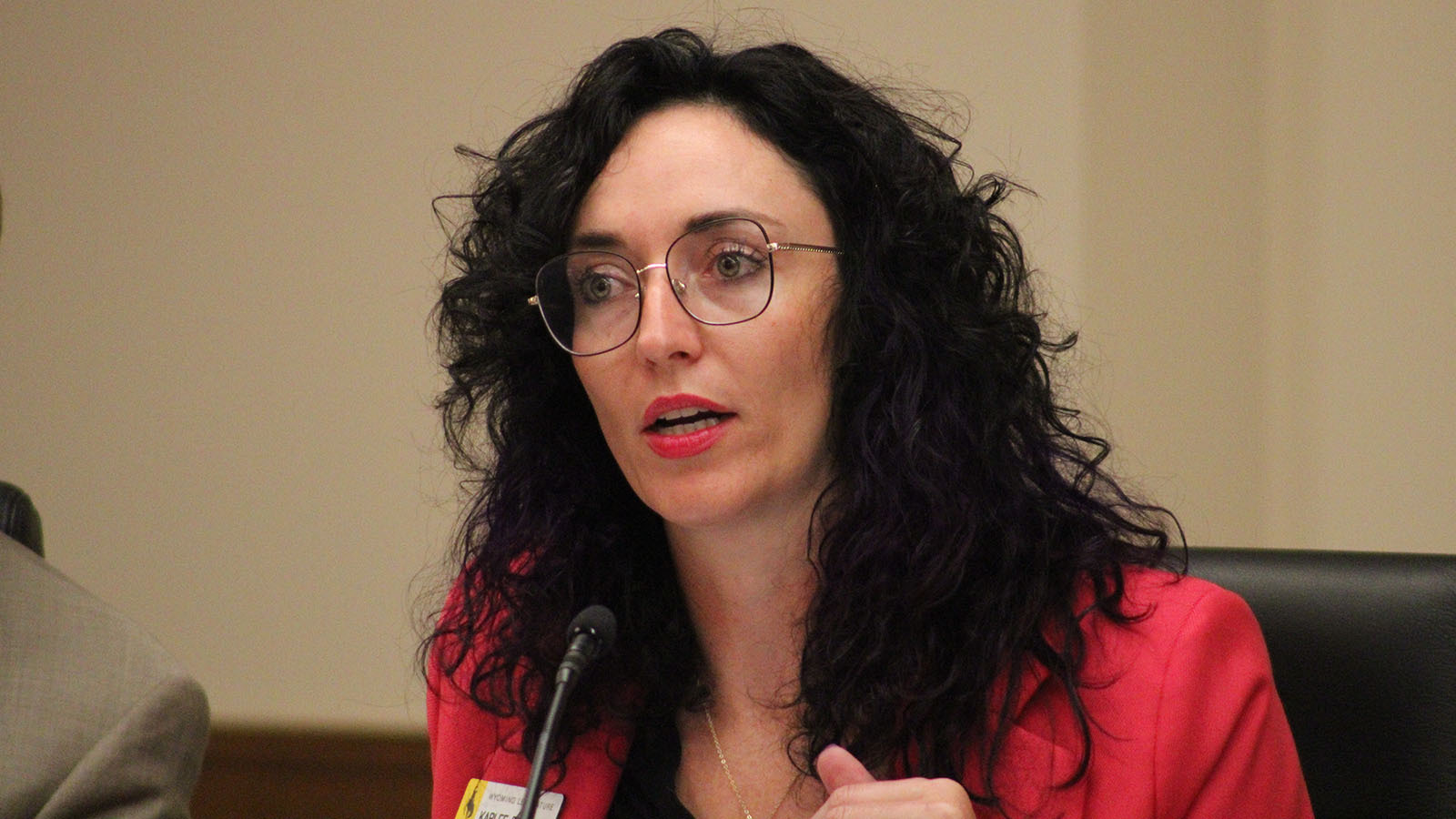 Rep Karlee Provenza D Laramie opposed Bitemans bill 8 8 23