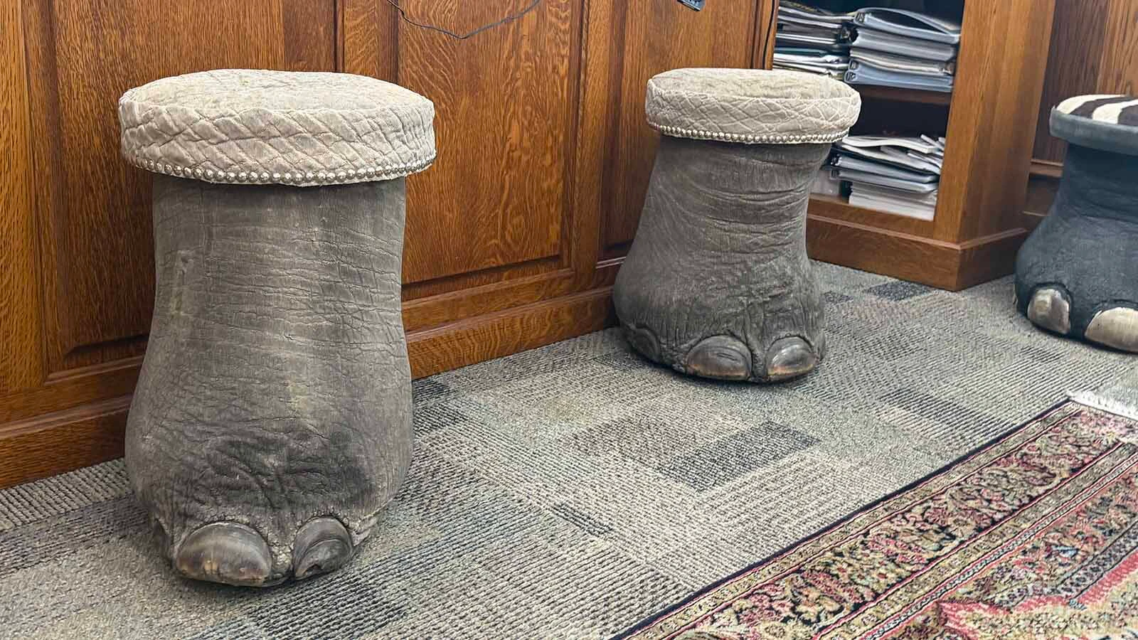 Elephant leg stools in Rick Bonander's Casper home.