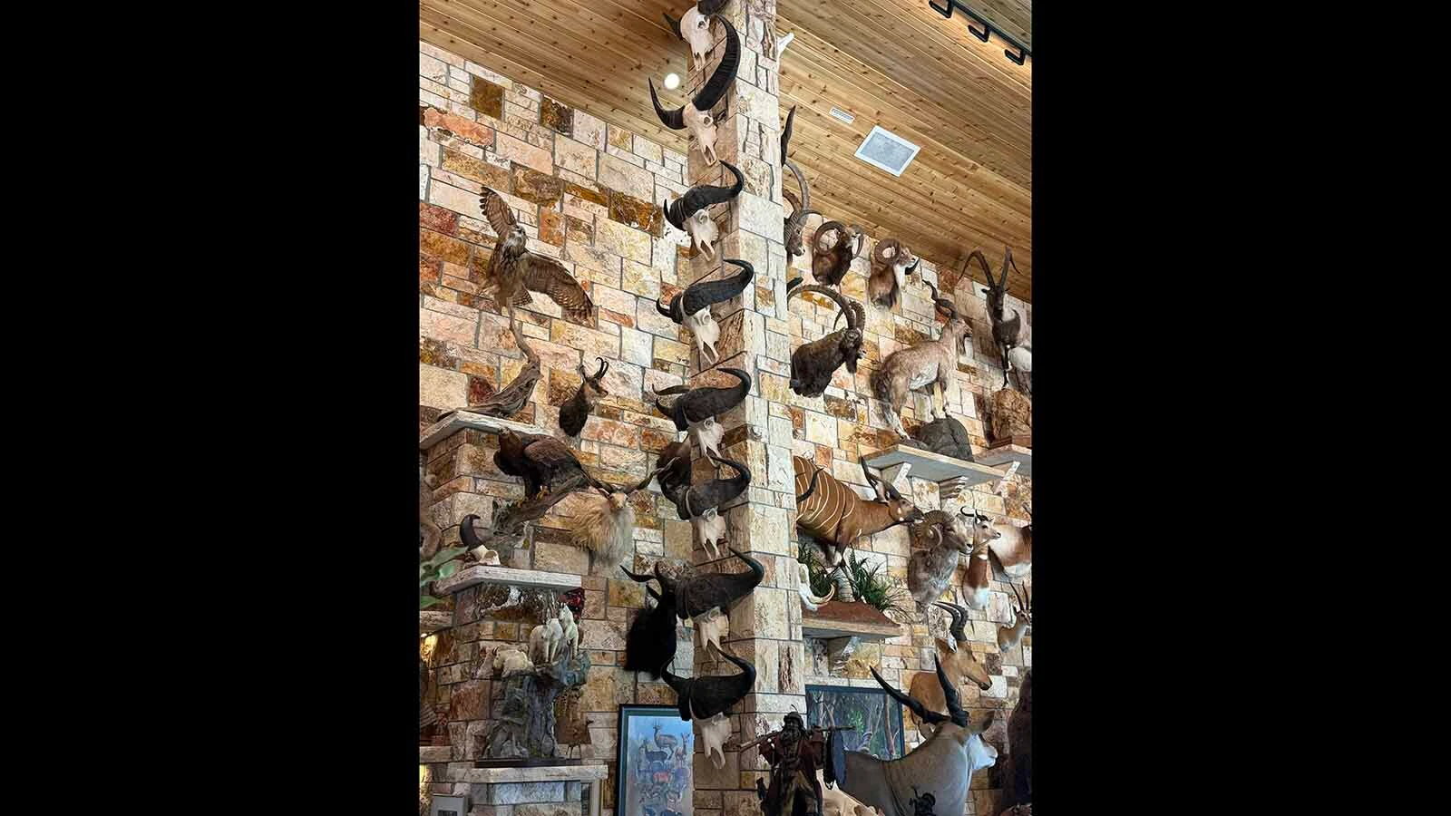 Rick Bonander's trophy room represents decades of travel from the mountains of Tajikistan to the plains of Africa.