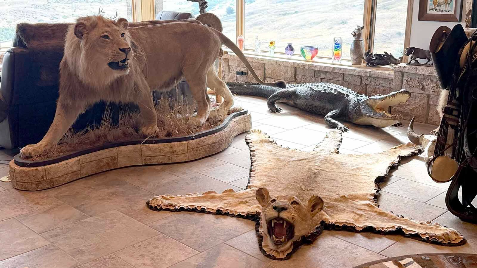 Rick Bonander has hunted lions through tall African grass, saying one of the greatest challenges is remembering that "they can hunt you back."