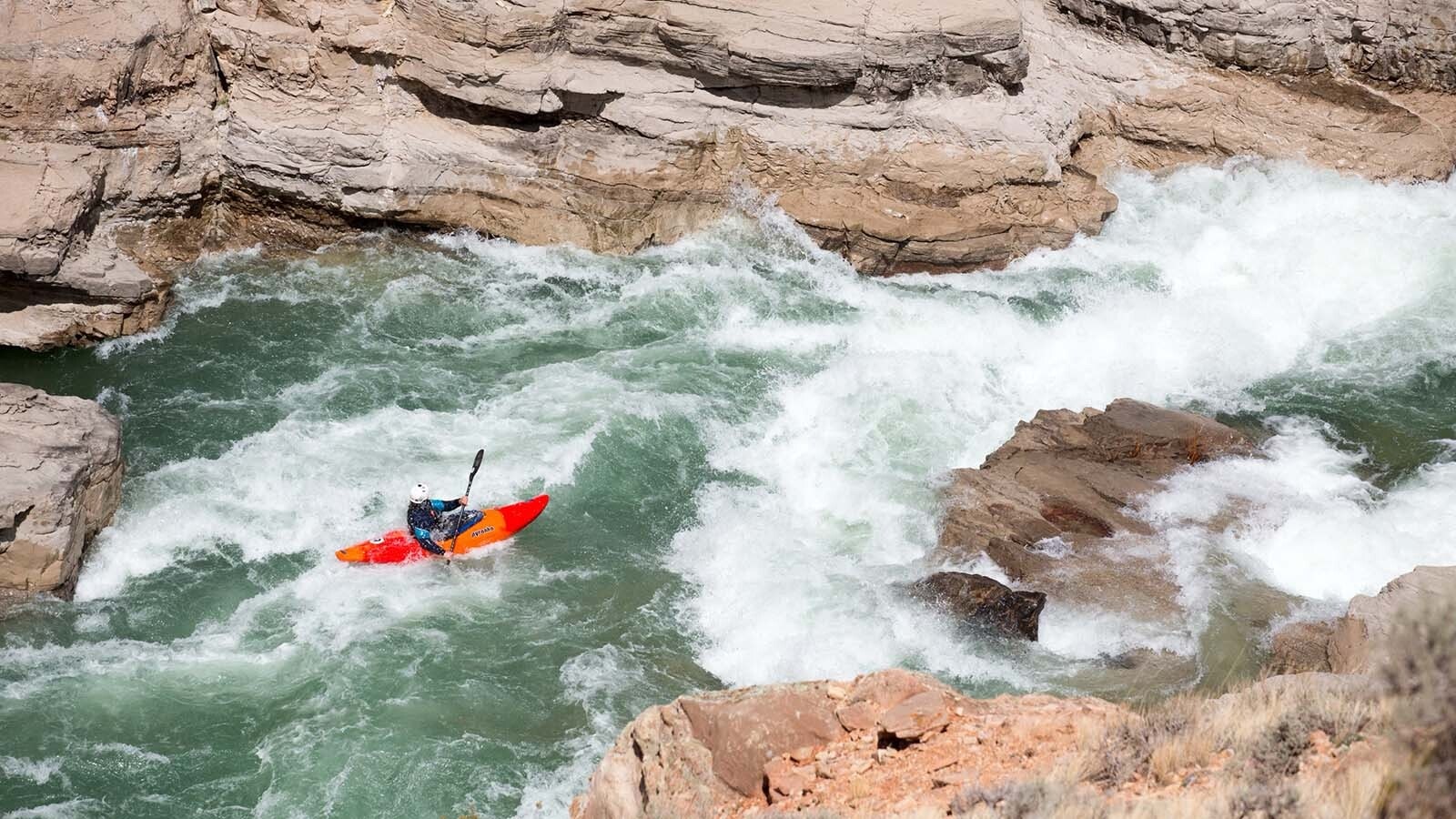 Exert kayaker Kevin Kennedy of Cody is pictured here running the “Iron Curtain” rapids on the Shoshone River when it was running at about 2,500 cubic feet per second (cfs). It was flowing at 4,500 cfs on Sunday, when three tourists tried running it in a cheap inflatable raft, which flipped.