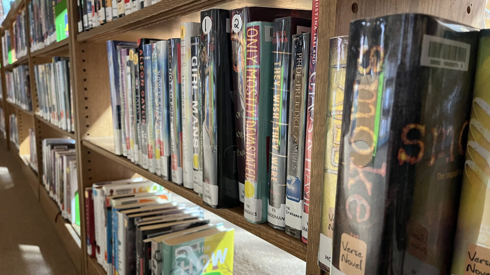 FILE PHOTO: The Wyoming Democratic Party is urging supporters to keep up pressure against a bill that would punish libraries for making available sexually-explicit books to kids. “It’s not only an attack on free speech - it’s an attack on parental rights,” the party said.