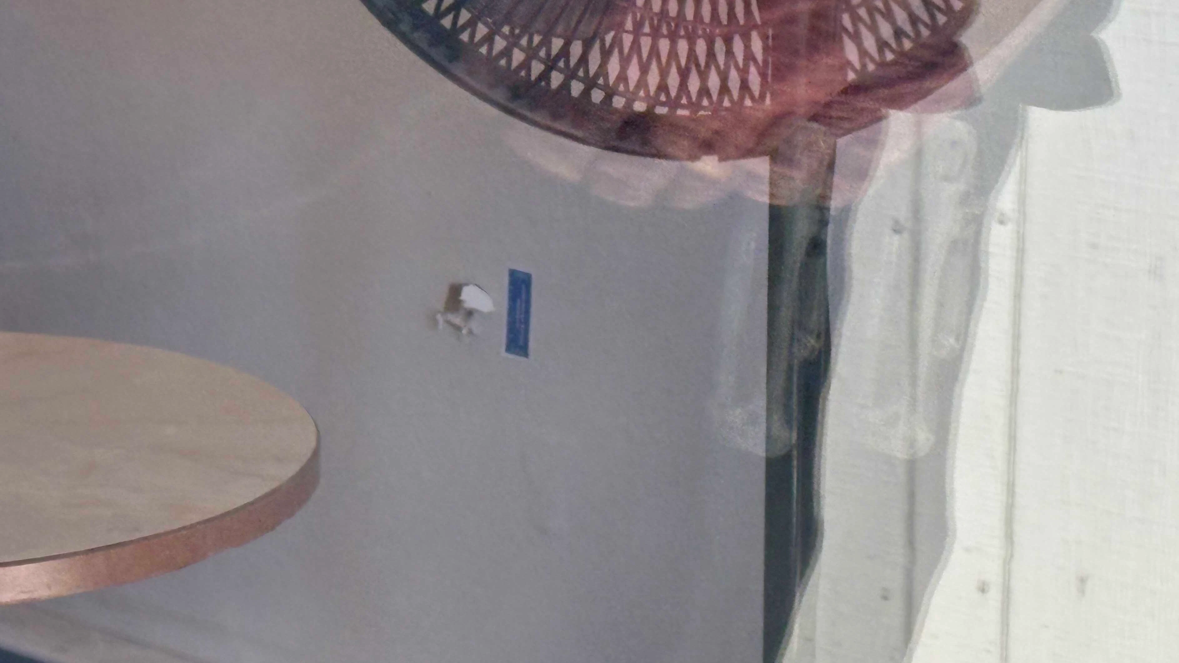 A bullet hole in the office of an apartment complex in Riverton where a fatal shooting happened March 3, 2026. “That's where the bullet went through from this apartment,” said assistant manager Ernie Brown.