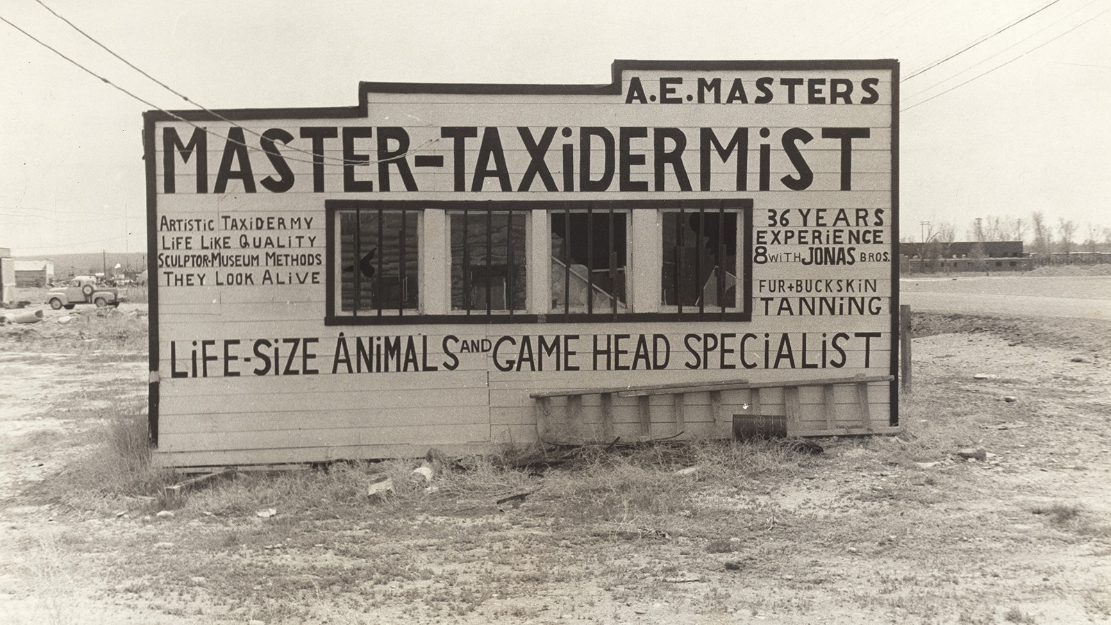 This photo of a taxidermist shop was taken during Robert Frank's Wyoming travels and is currently on display at the Wyoming State Museum in Cheyenne.