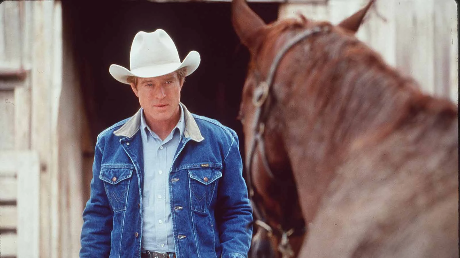 Robert Redford in the 1998 film "The Horse Whisperer."