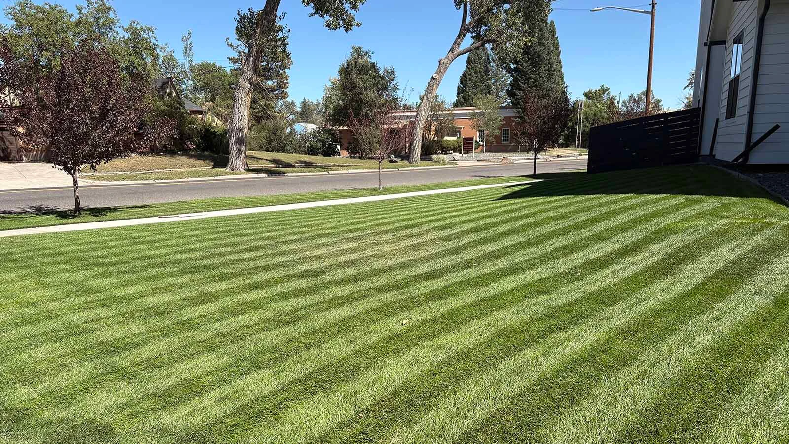 Cheyenne resident Nick Coonce has an incredibly well manicured lawn thanks to his robot mower.
