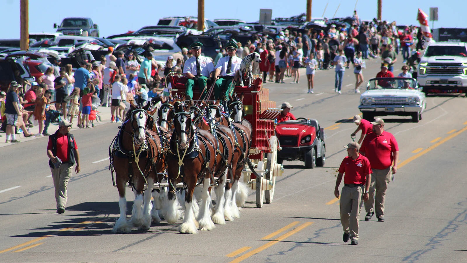 The famous Budweiser Clydesdales lead off the third annual Rock Springs Liberty Parade on Thursday, July 4, 2024.