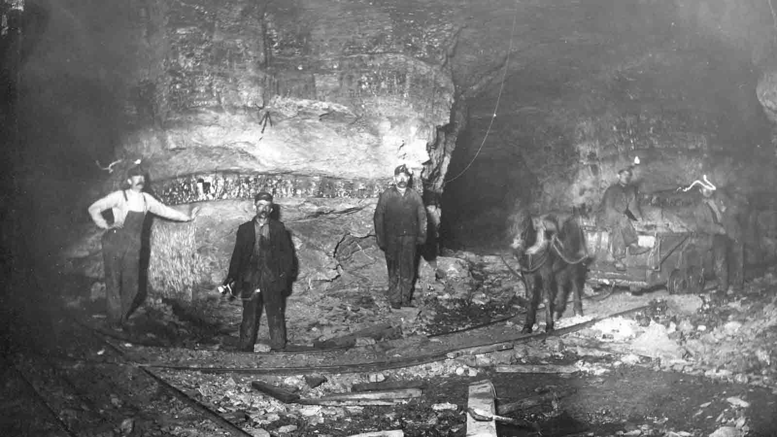 Workers are photographed inside a mine along with a mule and wagon. Mules were often used in the early days of coal mining to transport mine carts and haul various loads. Date unknown.