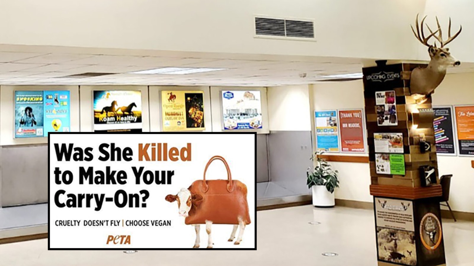 One argument PETA makes in its lawsuit over an ad denied by Southwest Wyoming Regional Airport is that the airport displays hunting trophies in its terminal and shows an alleged bias against PETA's views on animal cruelty.