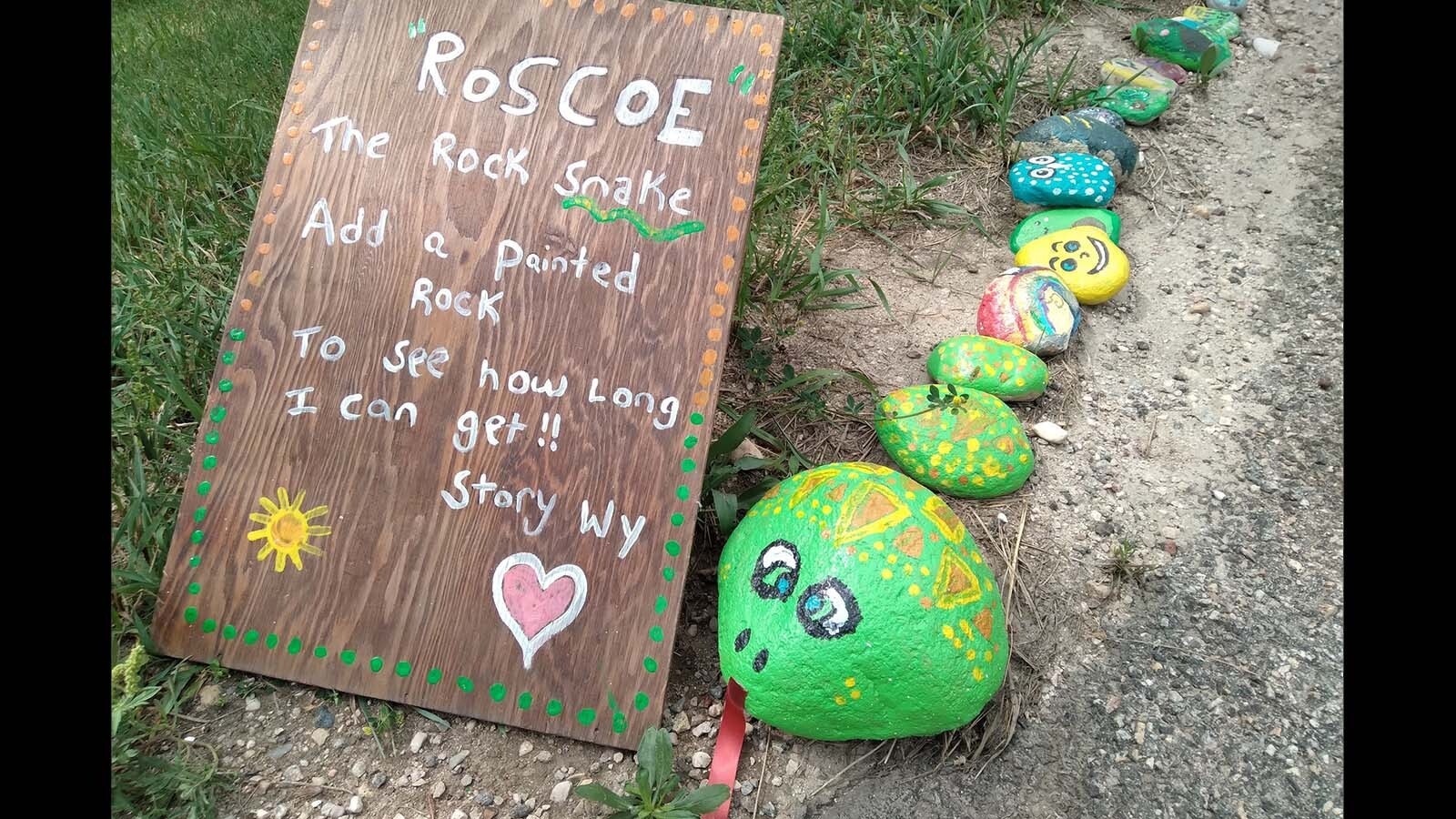 Roscoe the Rock Snake, currently growing in Story. Painted rocks can be found in many Wyoming communities, although they tend to be hidden in plain sight. "Rock snakes" are encouraged to grow in places where anyone can see and contribute to the somewhat spontaneous public art display.