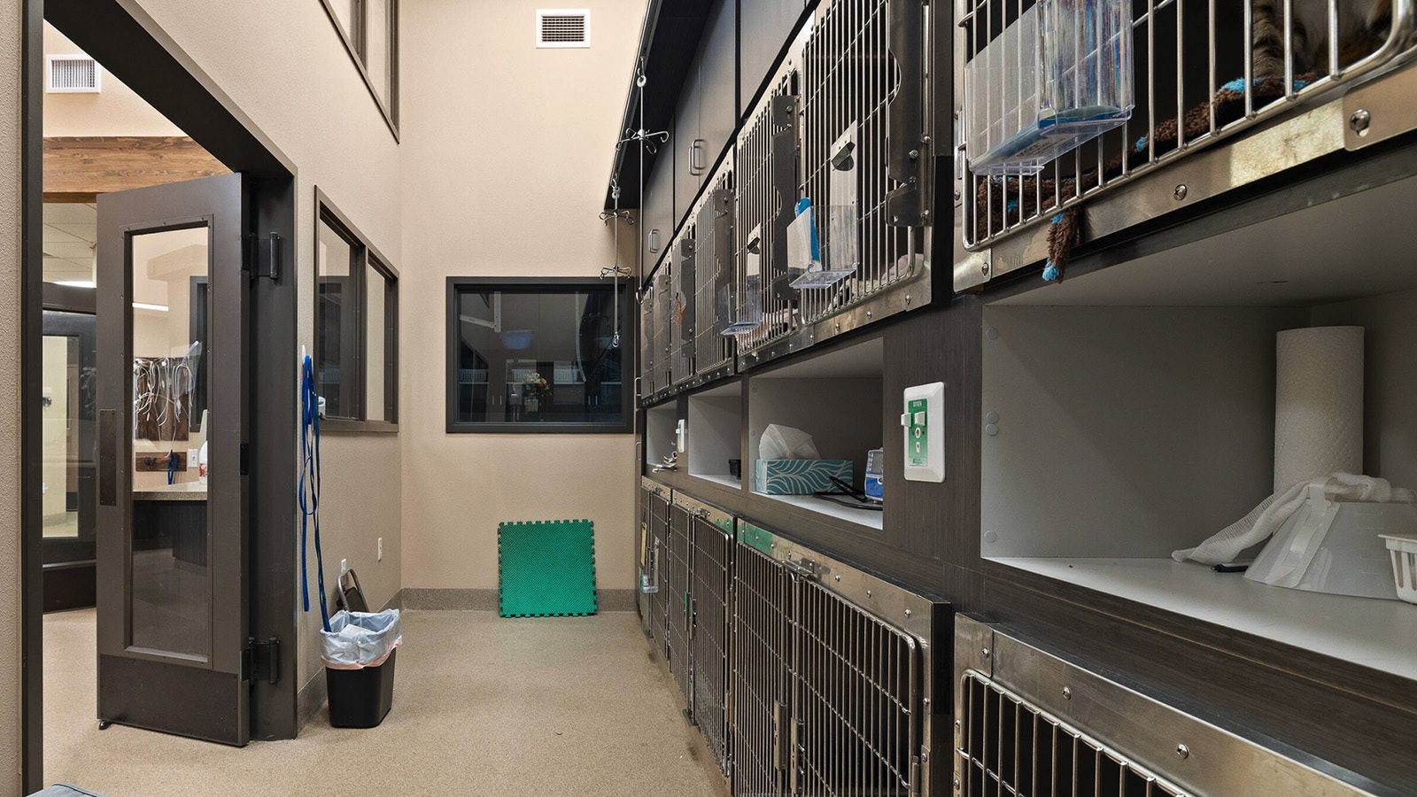 The clinic boasts an ICU where animals recover from surgery that features oxygen and more.