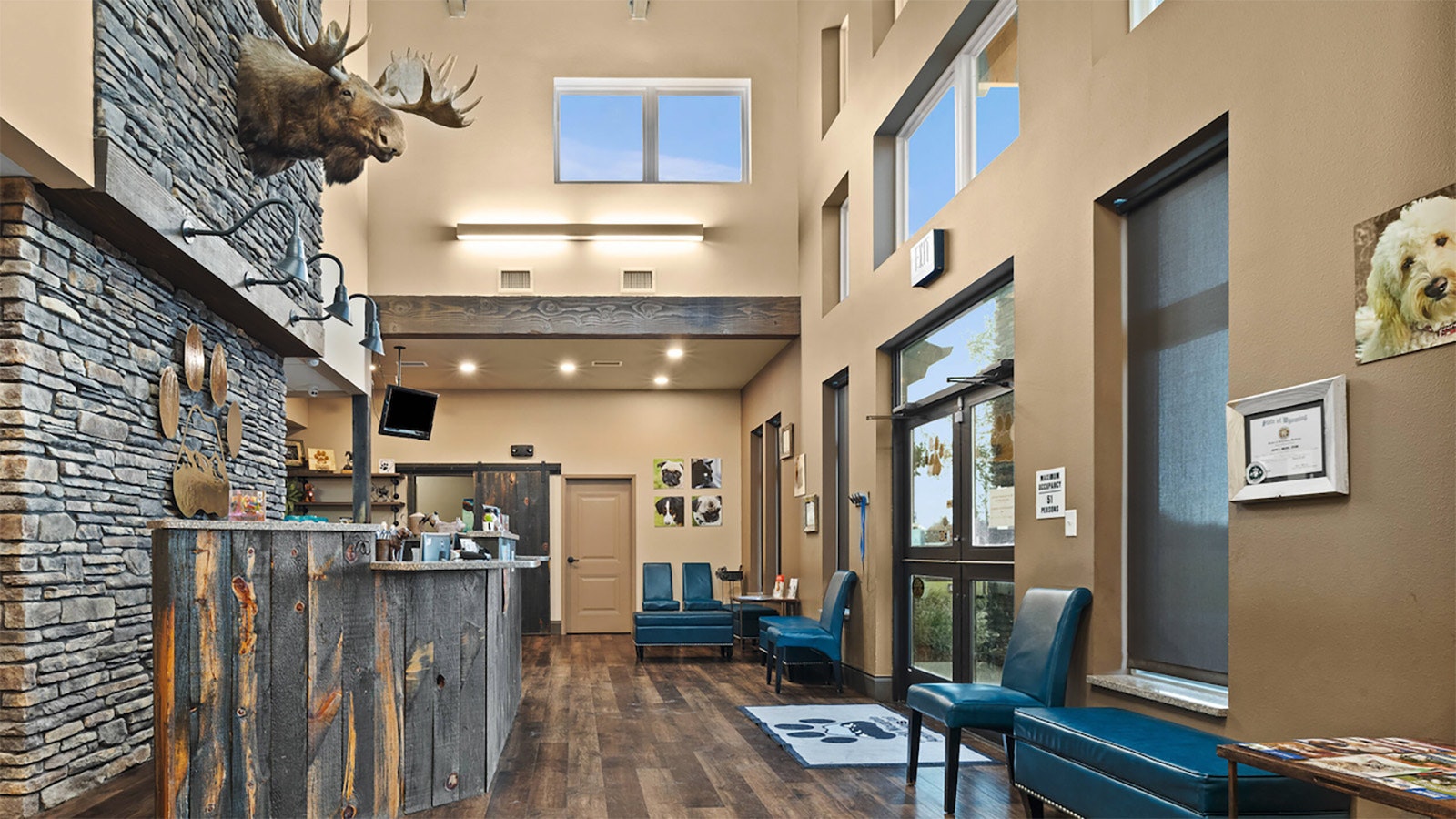 The reception area of Rocky Mountain Animal Hospital includes a moose head as part of the western outdoors theme of the building.