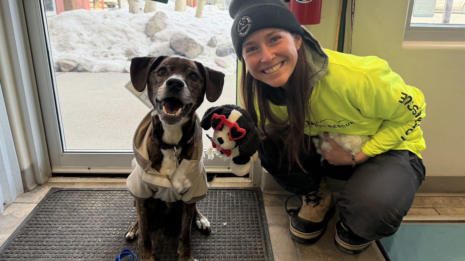 Rocky, a Labrador-boxer mix, escaped his harness during a walk near the mountain town of Montezuma, Colorado, on Dec. 28. He was rescued last week, having survived alone for 43 days in subzero nights and wolf territory. 