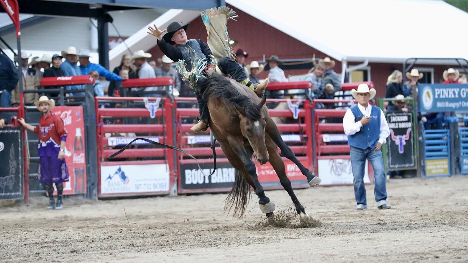 Rodeo For Dummies: Wyoming’s Favorite Sport Explained For The City ...