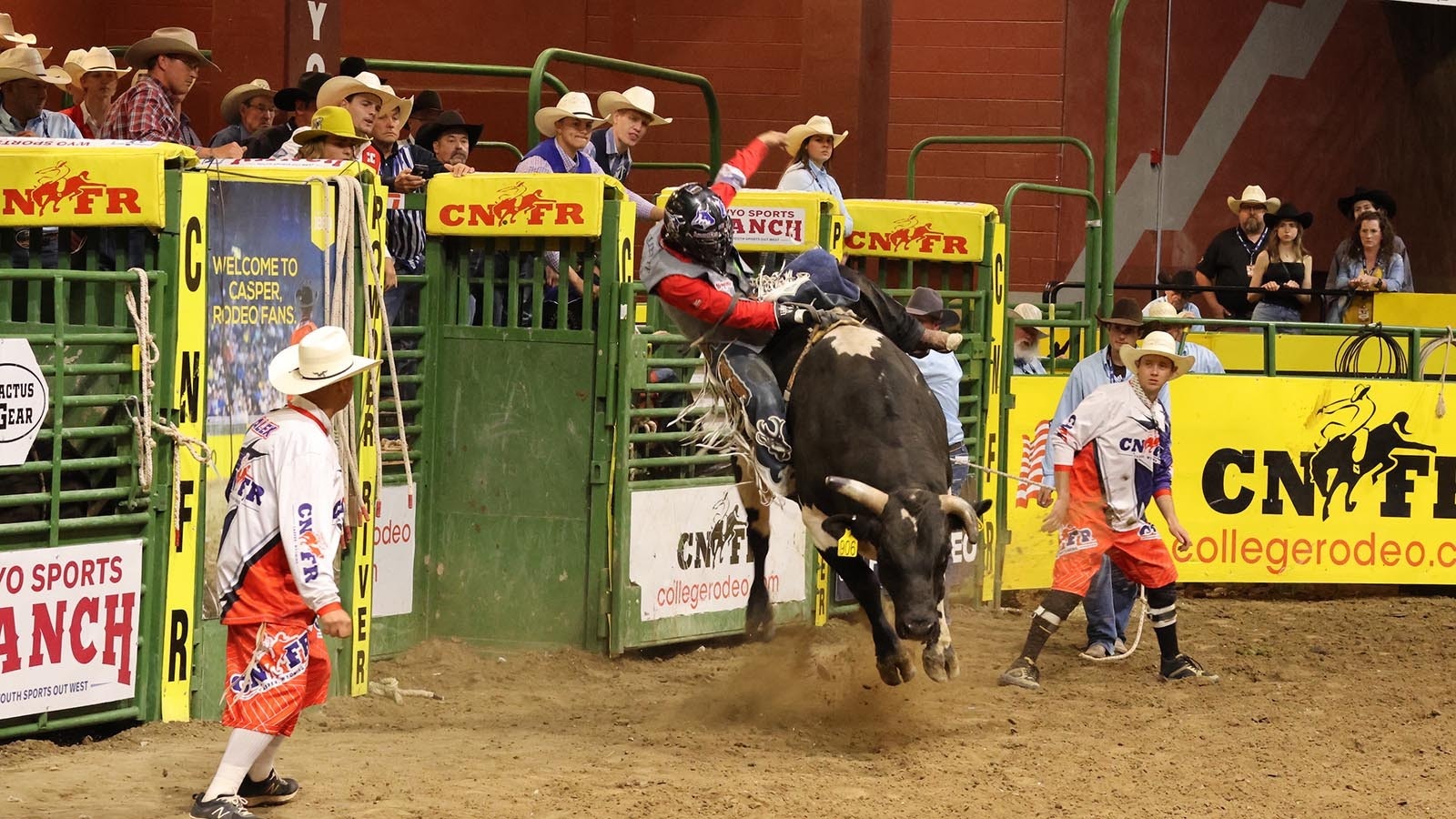 Thayne Elshere begins his exit off the bull during competition at the College National Finals Rodeo.