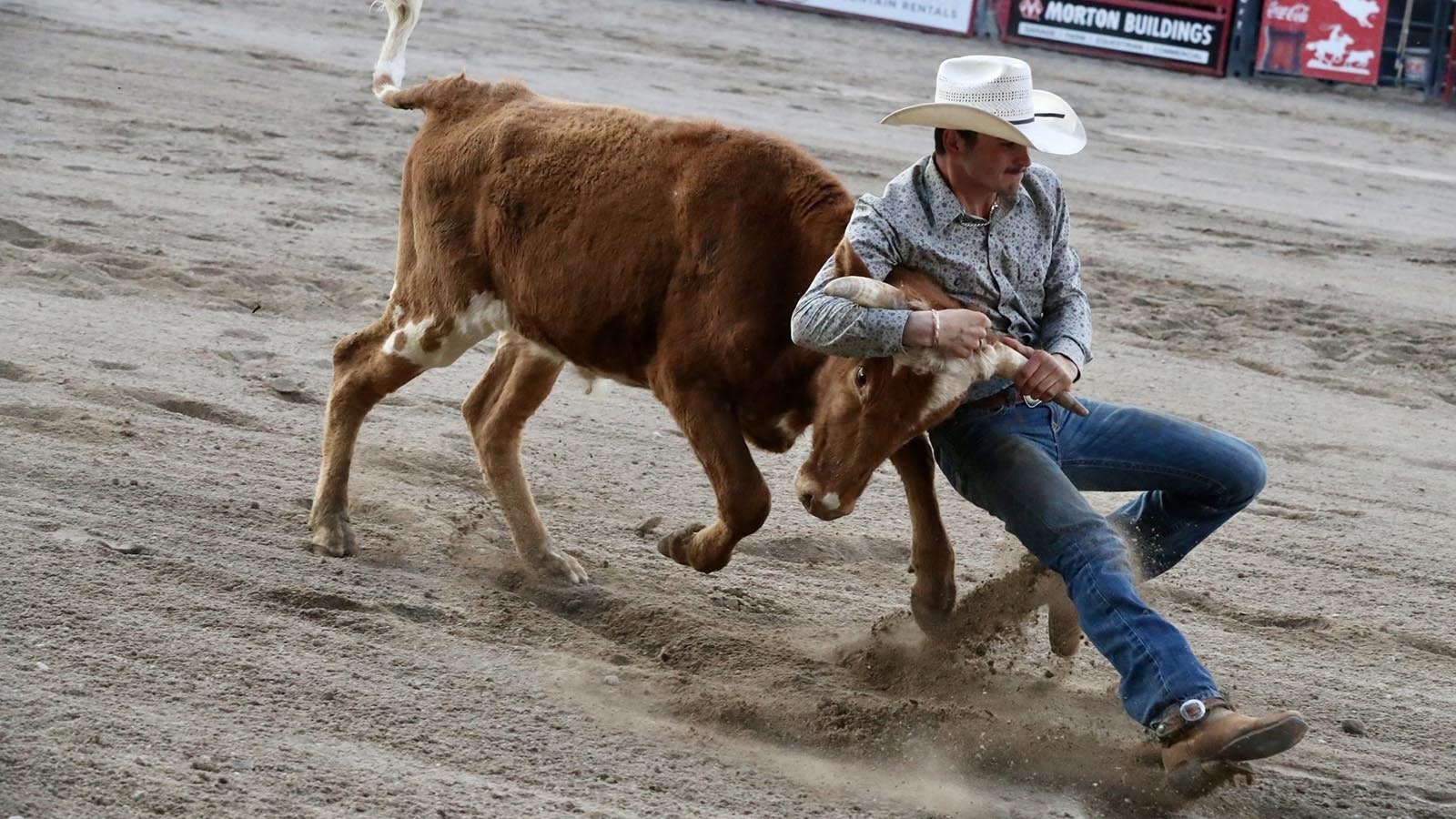 Rodeo Steer Wrestling Feet out front helps in the braking process JH Rodeo 6 22 24
