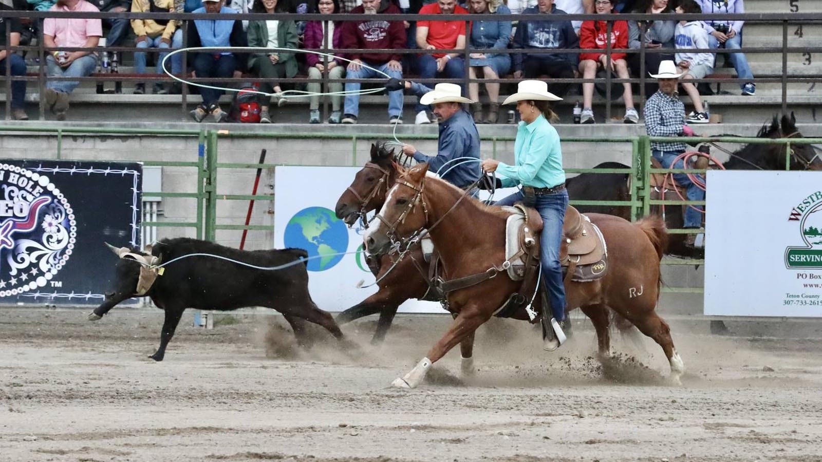 Rodeo Team roping is the only event that makes no distinction for gender participation JH Rodeo 6 22 24