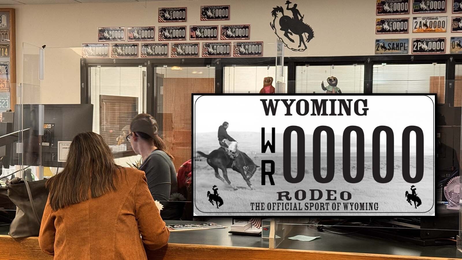 Wyoming issued a new pro-rodeo license plate Friday in response to PETA asking for a plate without the iconic bucking bronco claiming rodeo is cruel. One state legislator said PETA’s request made him want to celebrate rodeo “even more prominently.”