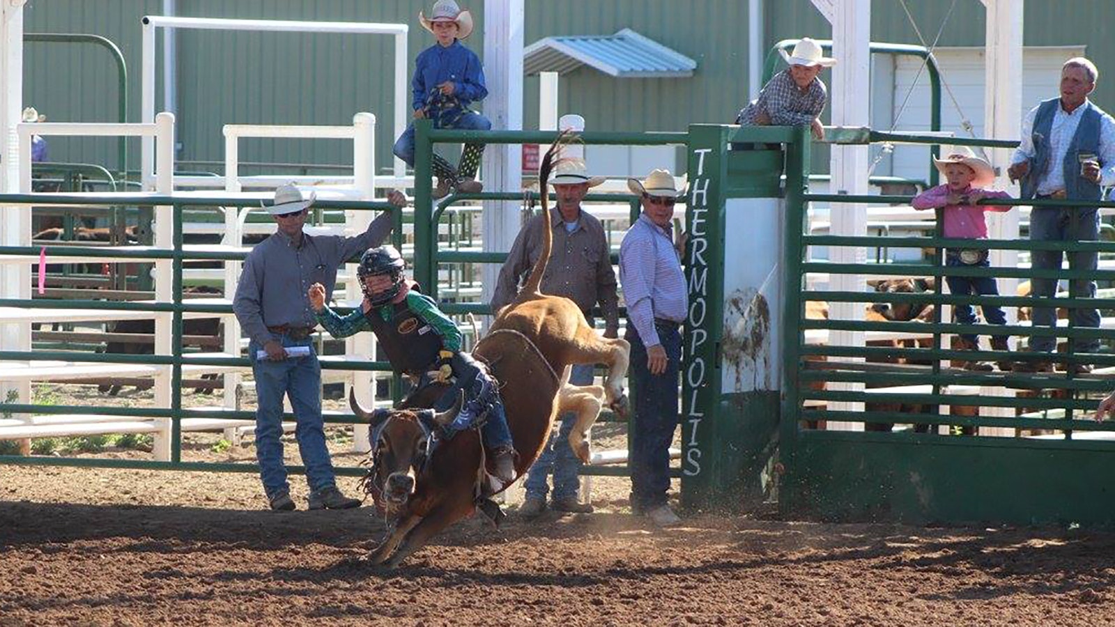 Roedy Farrell with his first bucking bull, a miniature Zebu that he named Red Rock.