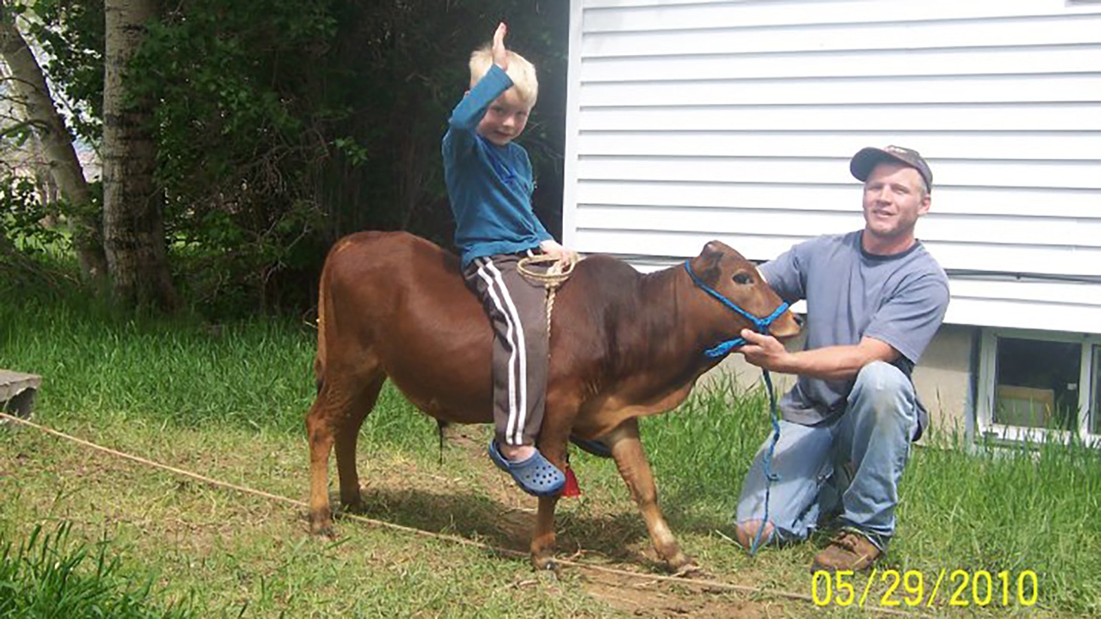 Roedy Farrell practices his technique on a calf with dad, Will.