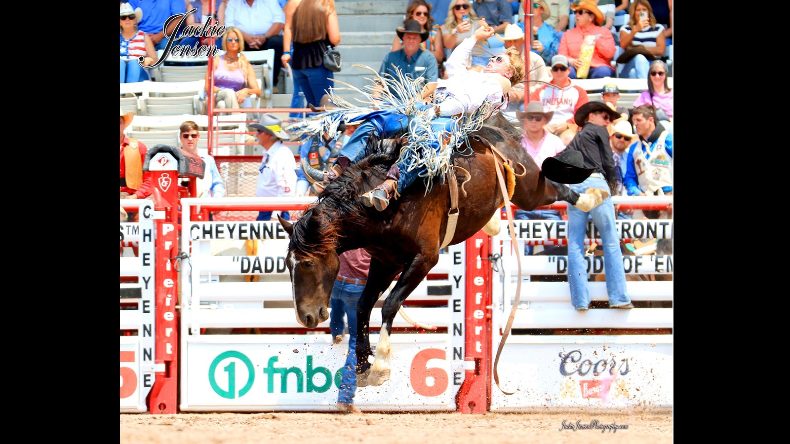 Roedy Farrell competes in the 2024 Cheyenne Frontier Days rodeo.