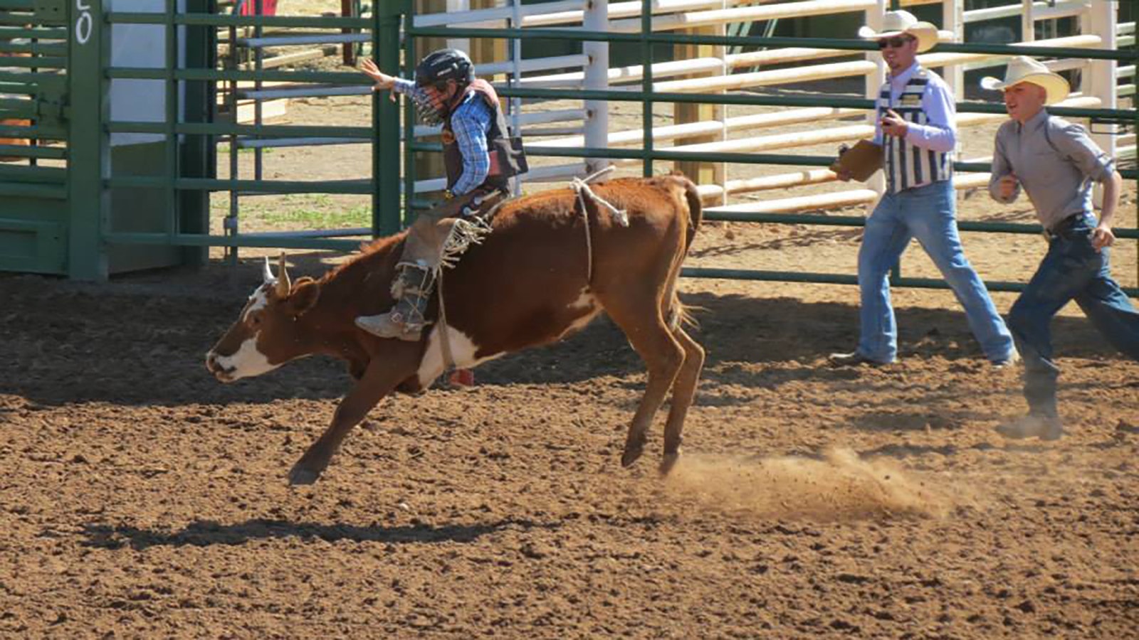 A 2014 photo of Roedy Farrell riding a steer in Thermopolis at the Wyoming Junior Rodeo Association rodeo. The Farrell kids all competed in this youth association and saw success including winning many saddles and buckles.