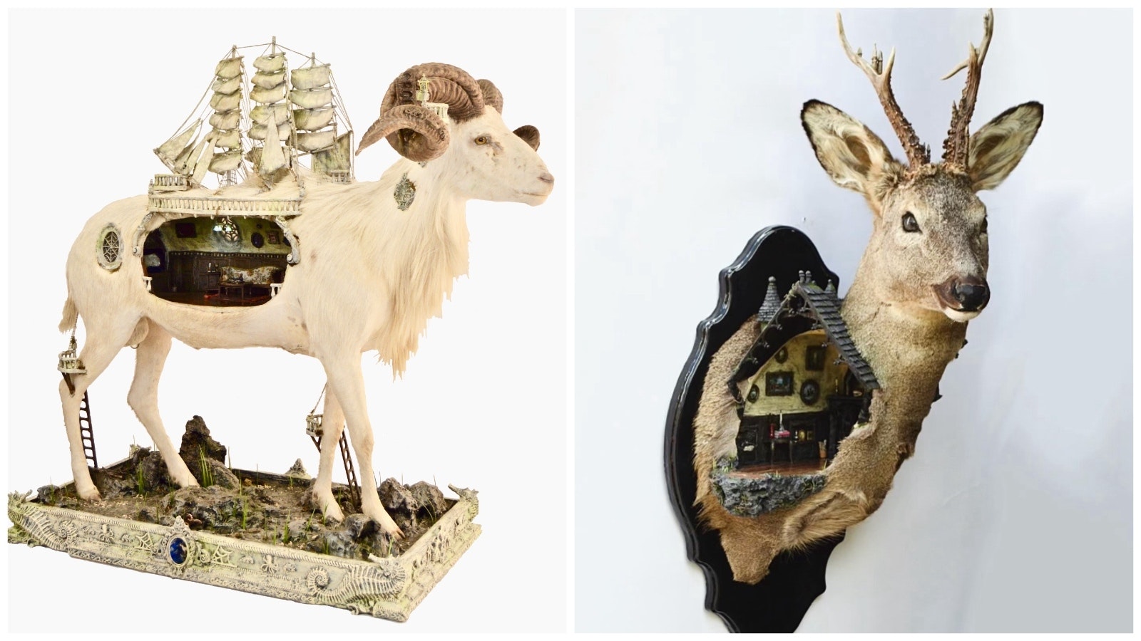 Two rogue taxidermy pieces: Ghost Ram, left, and Roe Deer.