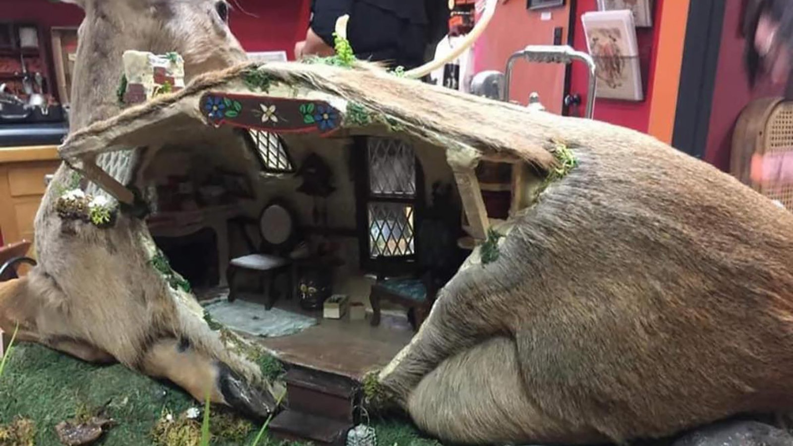 This deer dollhouse is the work of Los Angeles-based rouge taxidermy artist Brooke Weston.