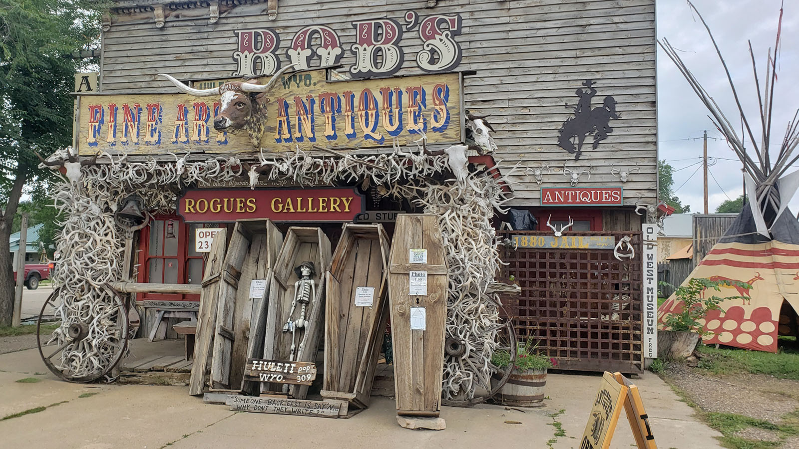 The Beautiful Oddity: Unpacking the Enduring Allure of "My Quirky"