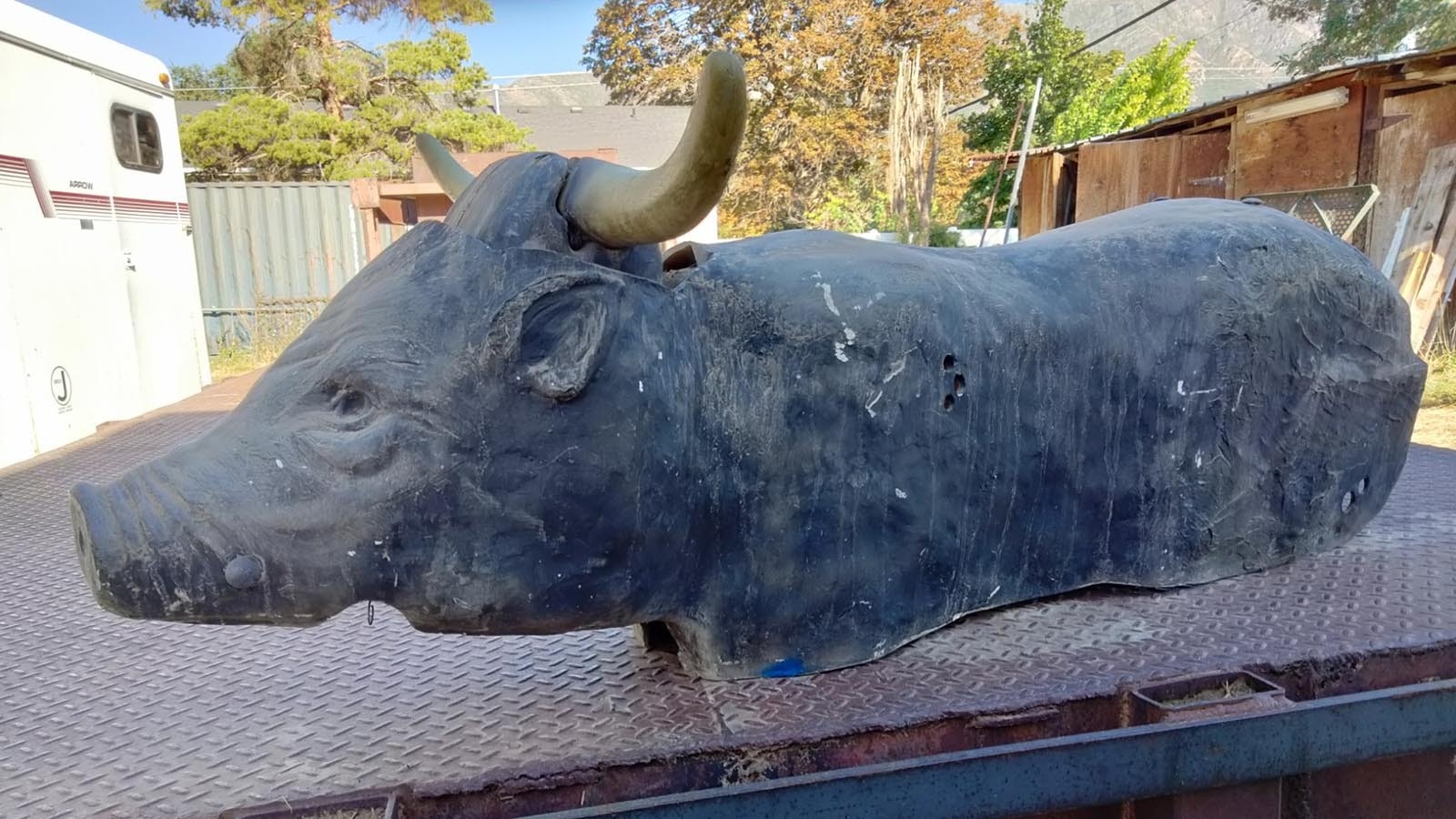 The Rope Hog steer roping training system was so named because the original roping dummy looks more like a pig than a cow.