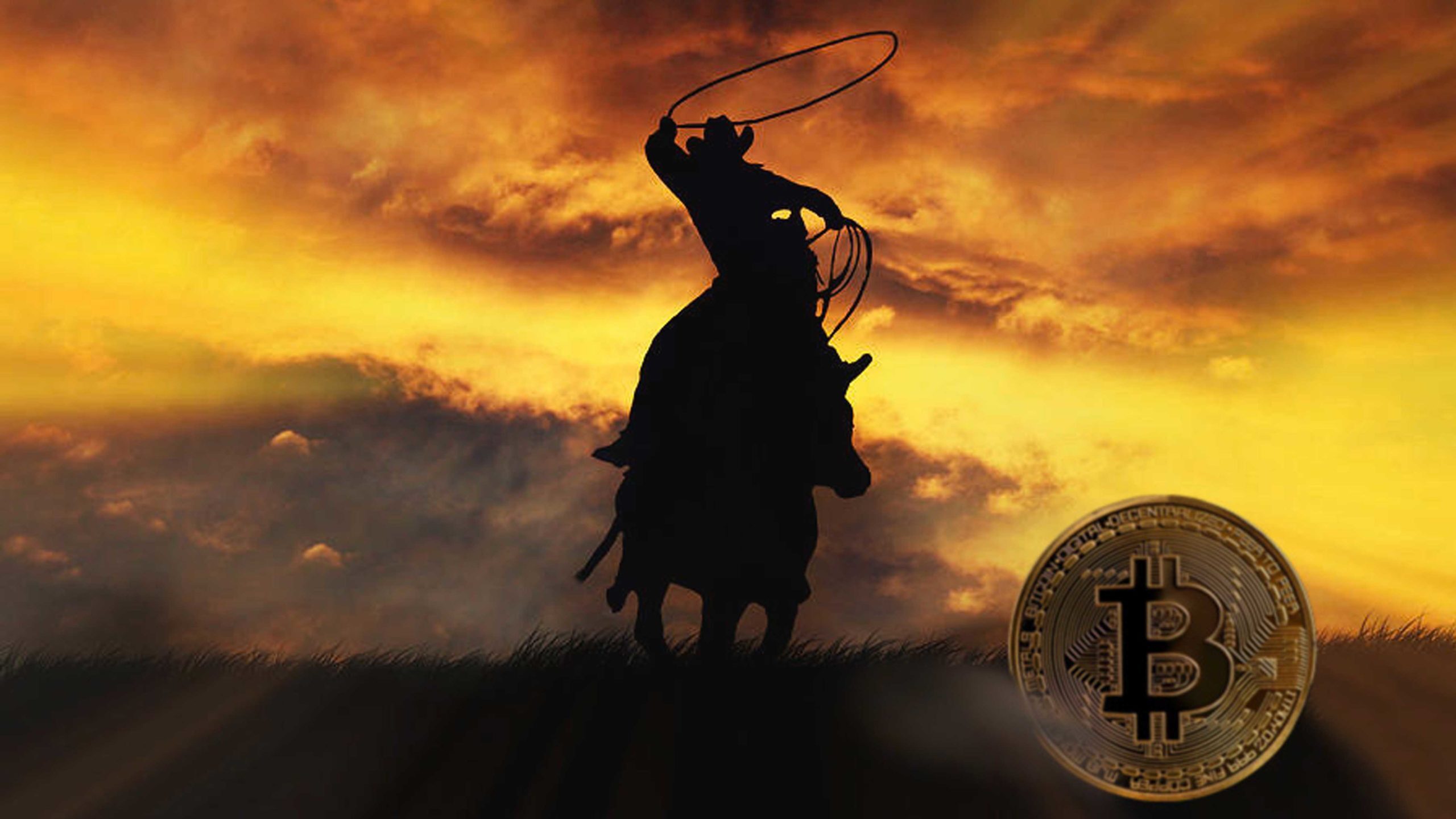 Roping Bitcoin 11 22 22 scaled