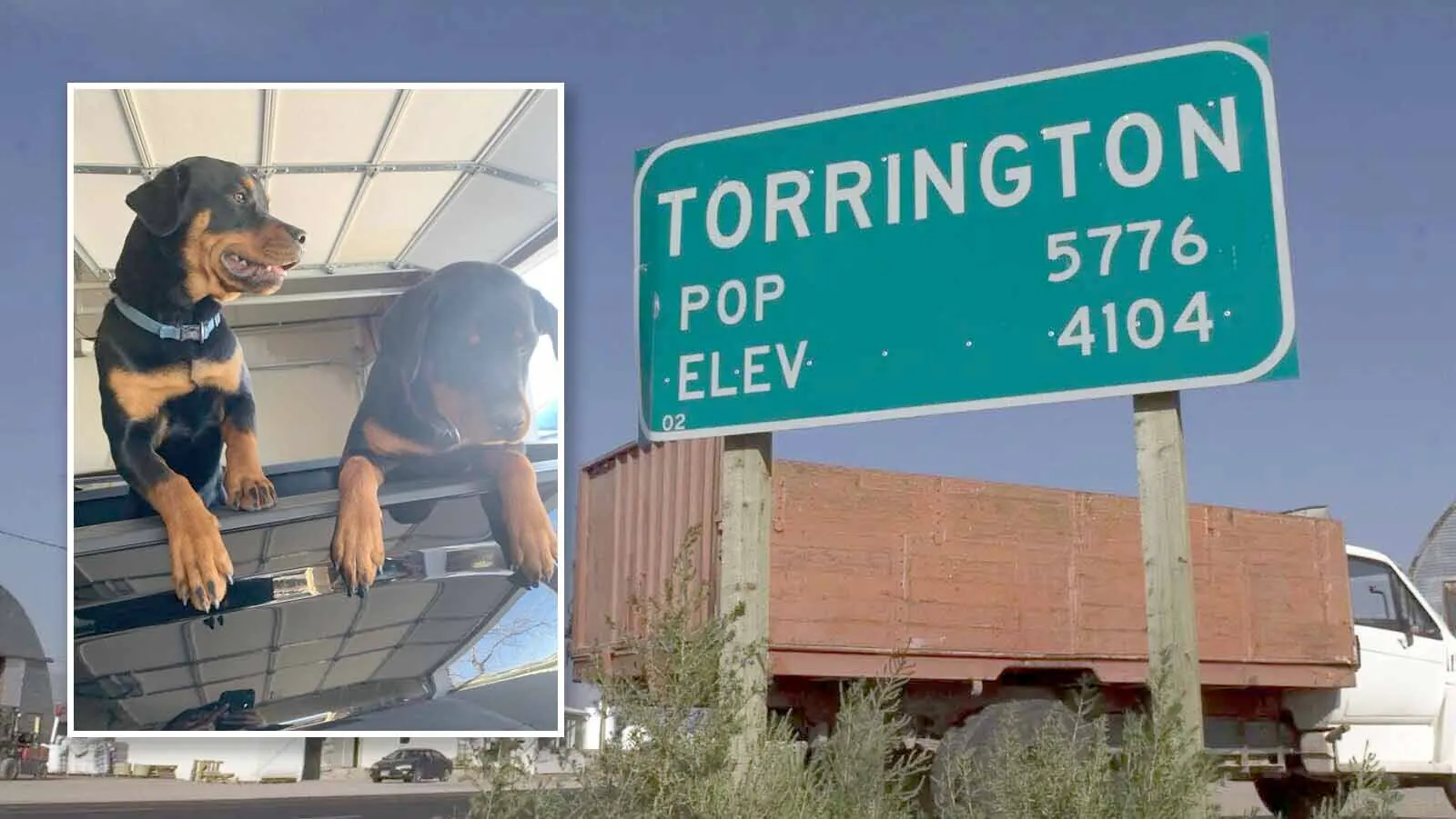 A Torrington family says the Goshen County Sheriff’s Office told them a suspect turned himself in for shooting their Rottweilers, whose mutilated bodies were found in the North Platte River. The sheriff’s office hasn’t confirmed the family’s statement.