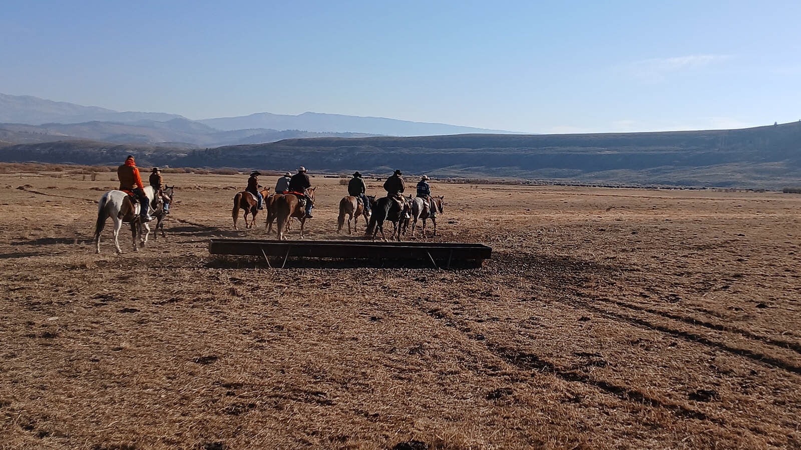 3.	Cowboys prepare to roundup and “cut” the cattle during the Hoback Basin cattle roundup, separating each into groups based on various ranch brands and tags.