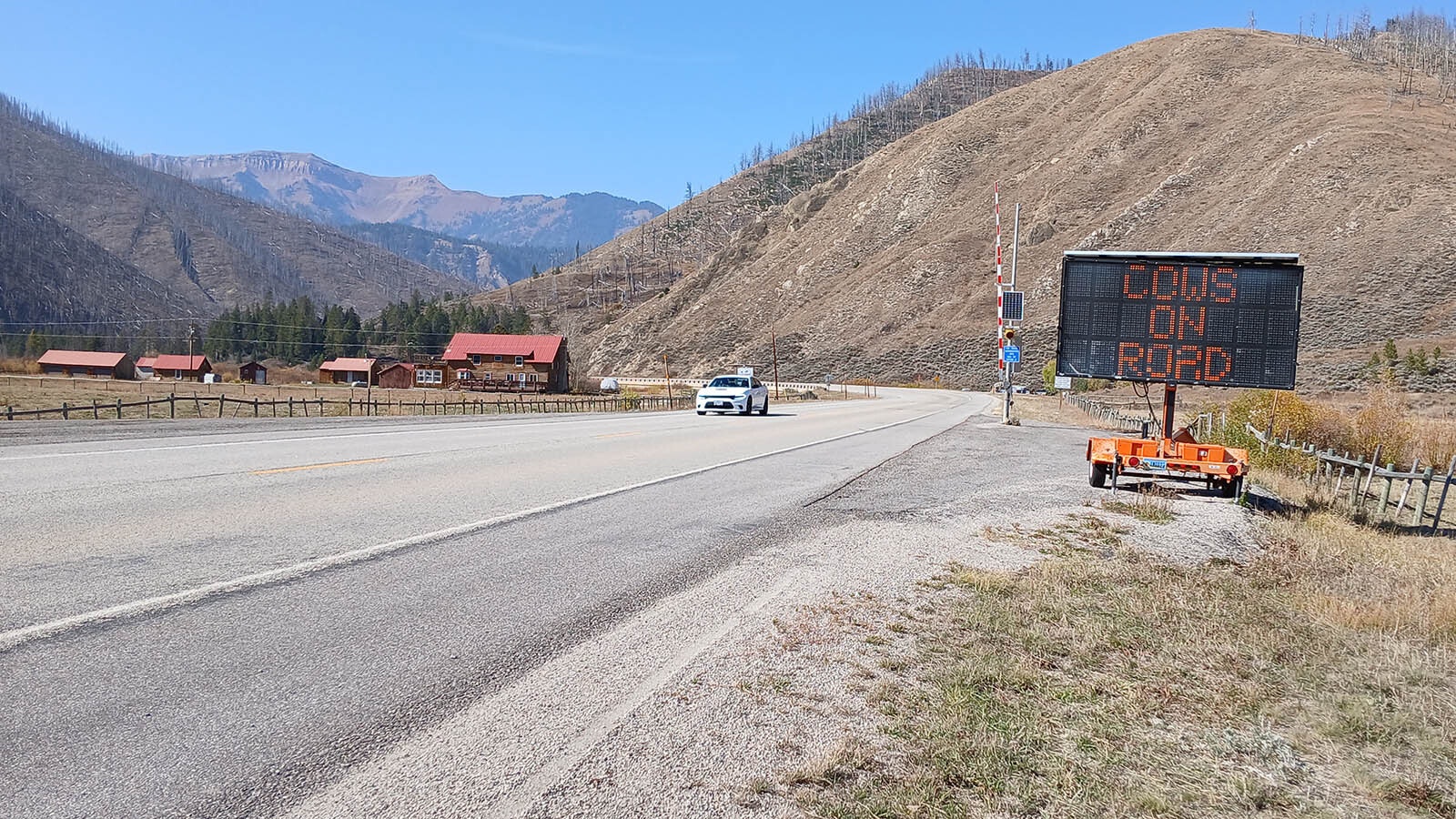 1.	A road sign in the Hoback Basin warns drivers that cows are grazing on the open range.