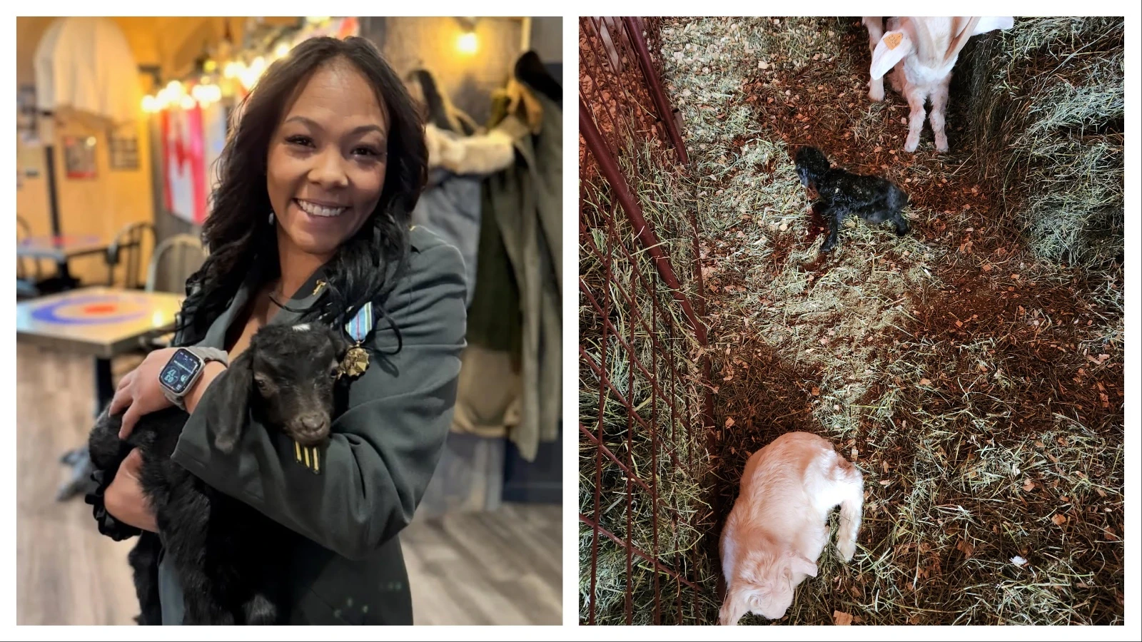 Regulars at Bombshells American Cantinia have adopted Tenacity as their unofficial mascot.